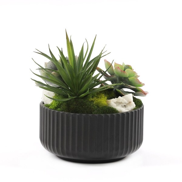 Faux Succulents and Moss Arrangement in Ribbed Black Pot