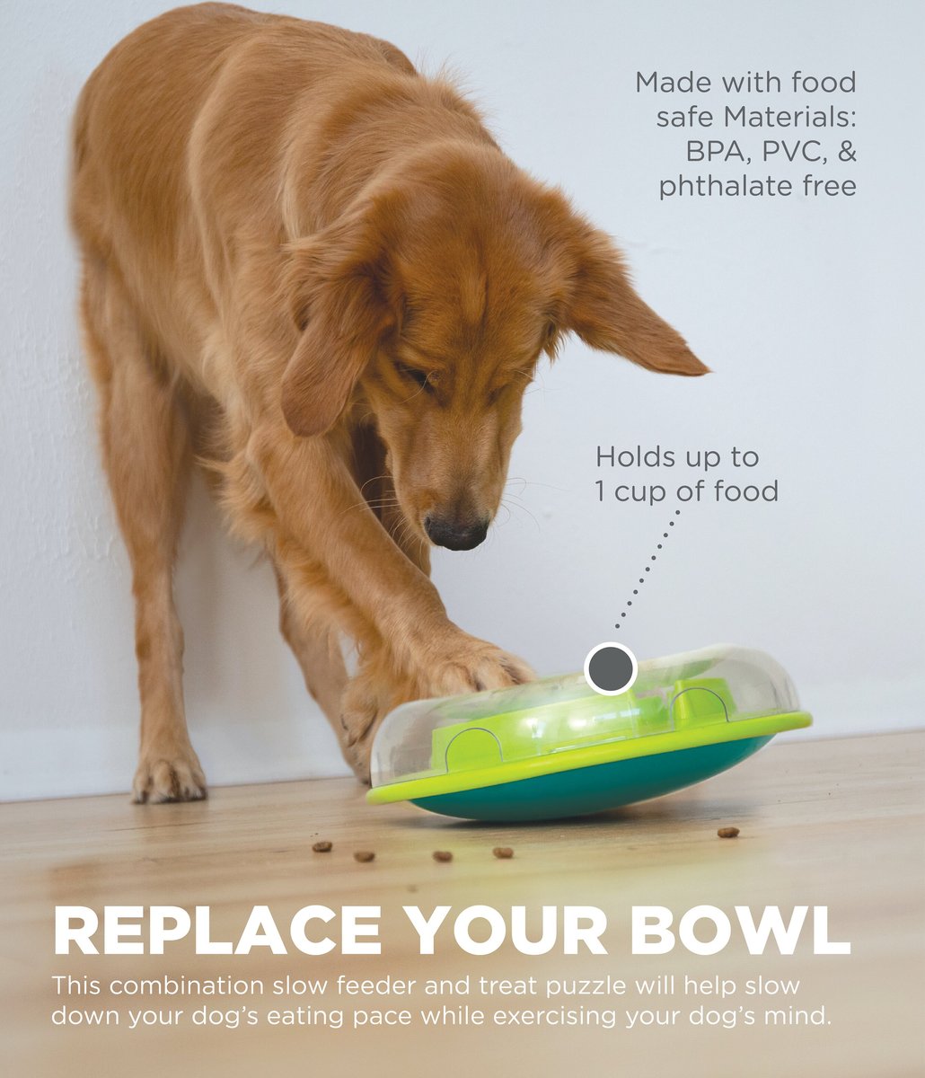 Nina Ottosson by Outward Hound Wobble Plastic Slow Feeder Dog Bowl