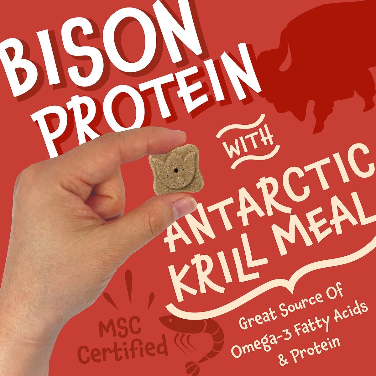 Earthborn Holistic Grain-Free Bison Meal Recipe Dog Treats