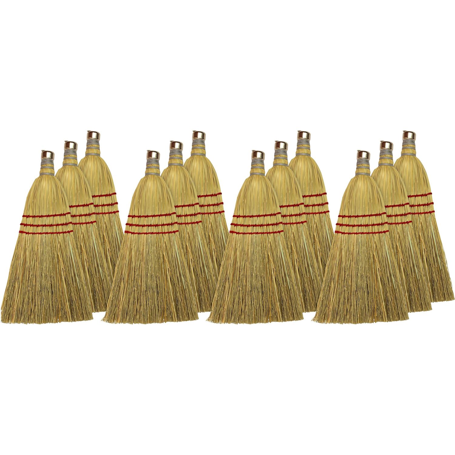 Whisk Broom by Genuine Joe GJO80161CT