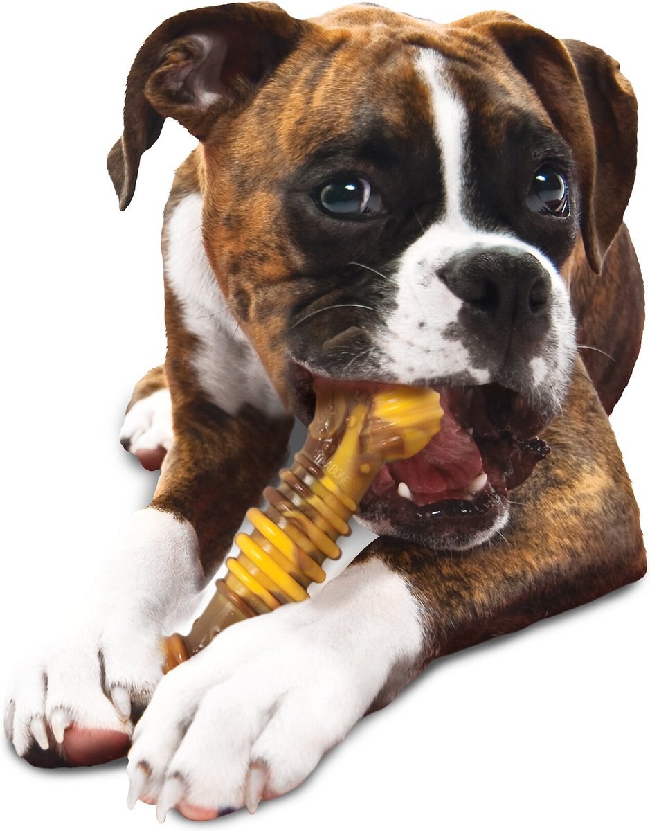 Nylabone Power Chew Flavor Frenzy Cheesesteak Flavored Dog Chew Toy