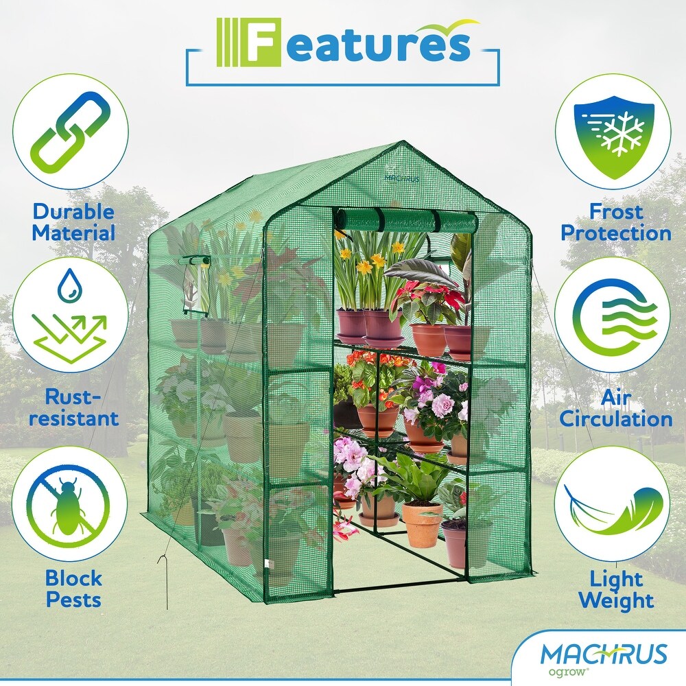 Machrus Ogrow Deluxe Walk In Greenhouse with Green Cover