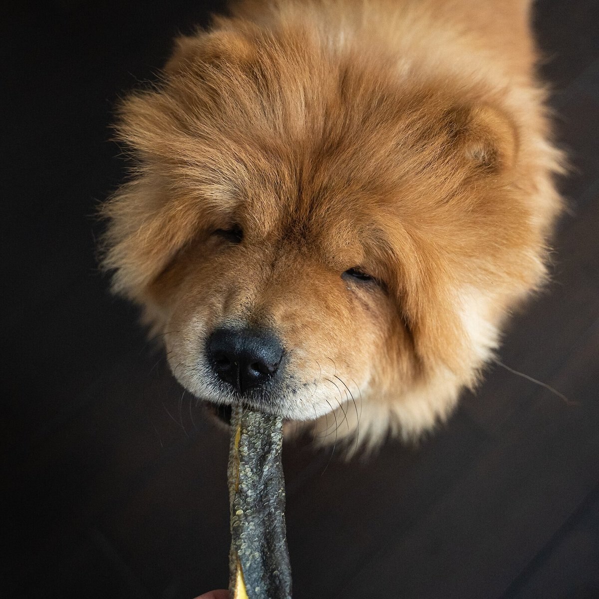 Flourish Salmon Skins Freeze-Dried Dog Treats