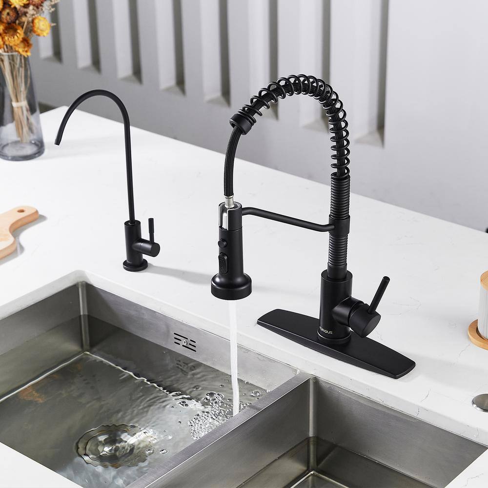 FORIOUS Pull Down Sprayer with Kitchen Faucet Single-Handle Kitchen Sink Faucet in Black HH0027B