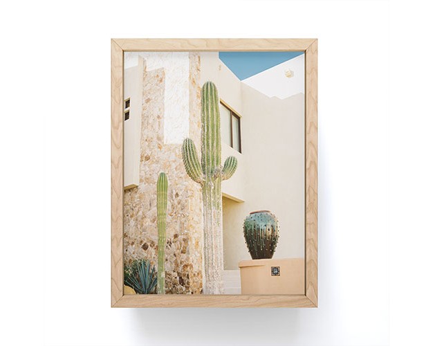 Bethany Young Photography Cabo Cactus Vii Framed Mini Art Society6