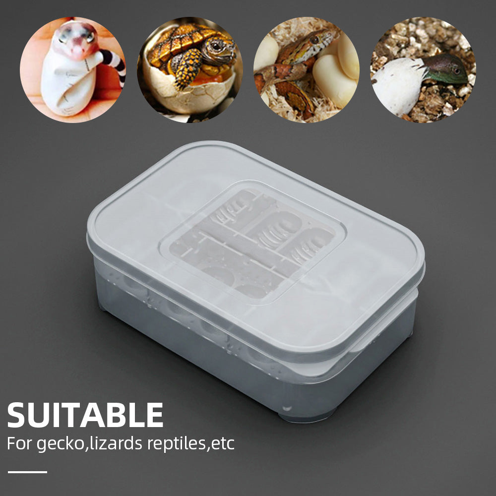 Reptile Egg Tray Reptile Egg Box Reptile Breeding Box Reptile Incubation Box Suitable For Hatching Snake Lizards Reptiles