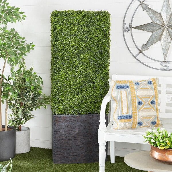 Exclusive and Utmost Beautiful Boxwood Hedge