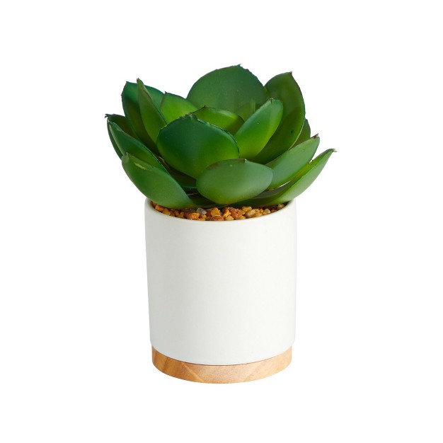 Nearly Natural 6 in Succulent Artificial Plant In White Ceramic Planter