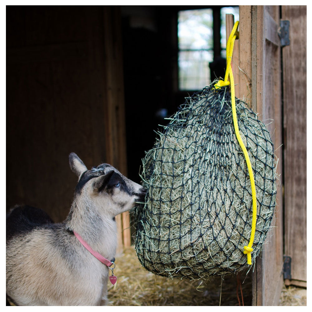 Texas Haynet 3702 Small Hay Net