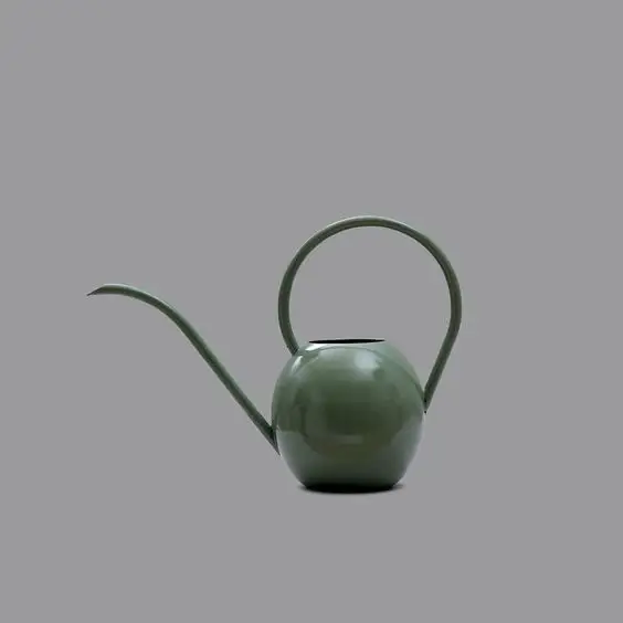 TQC Branded Wholesale Price Indoor Plant Watering Can With Stainless Steel Metal Flower Watering Can for Gardening