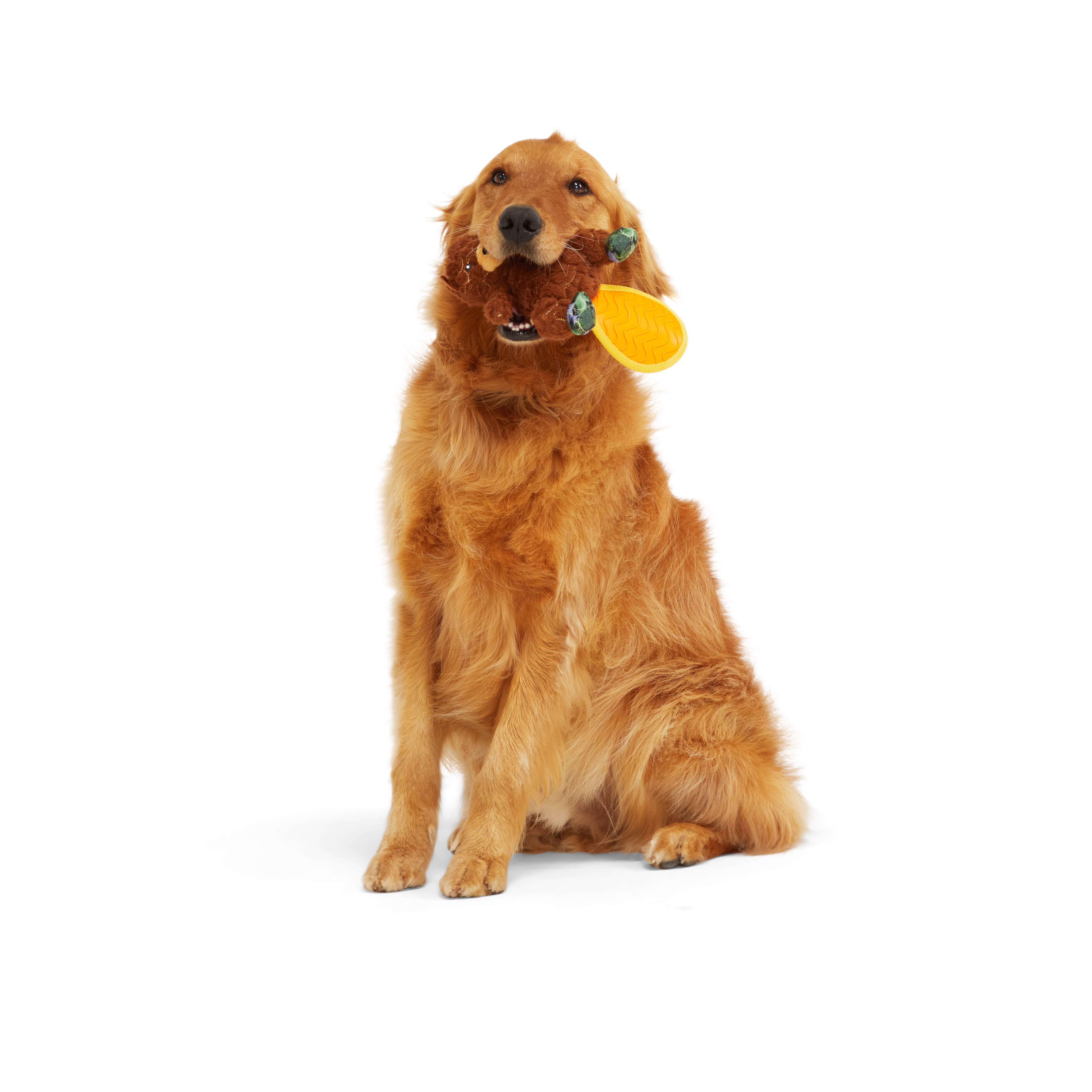 Leaps  Bounds Tough Beaver with Rubber Tail Dog Toy