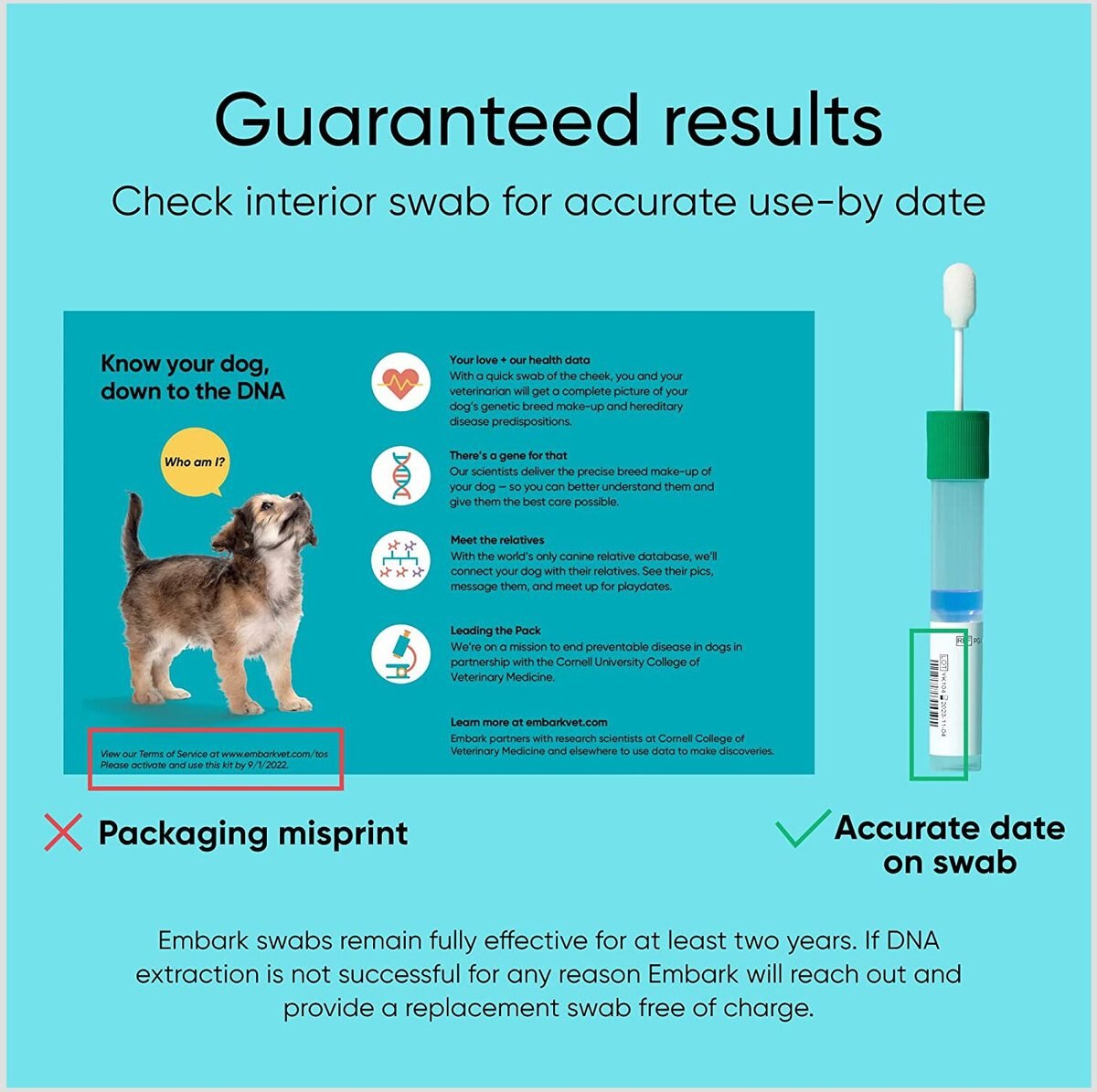 Embark Breed Identification and Health Condition Identification DNA Test for Dogs