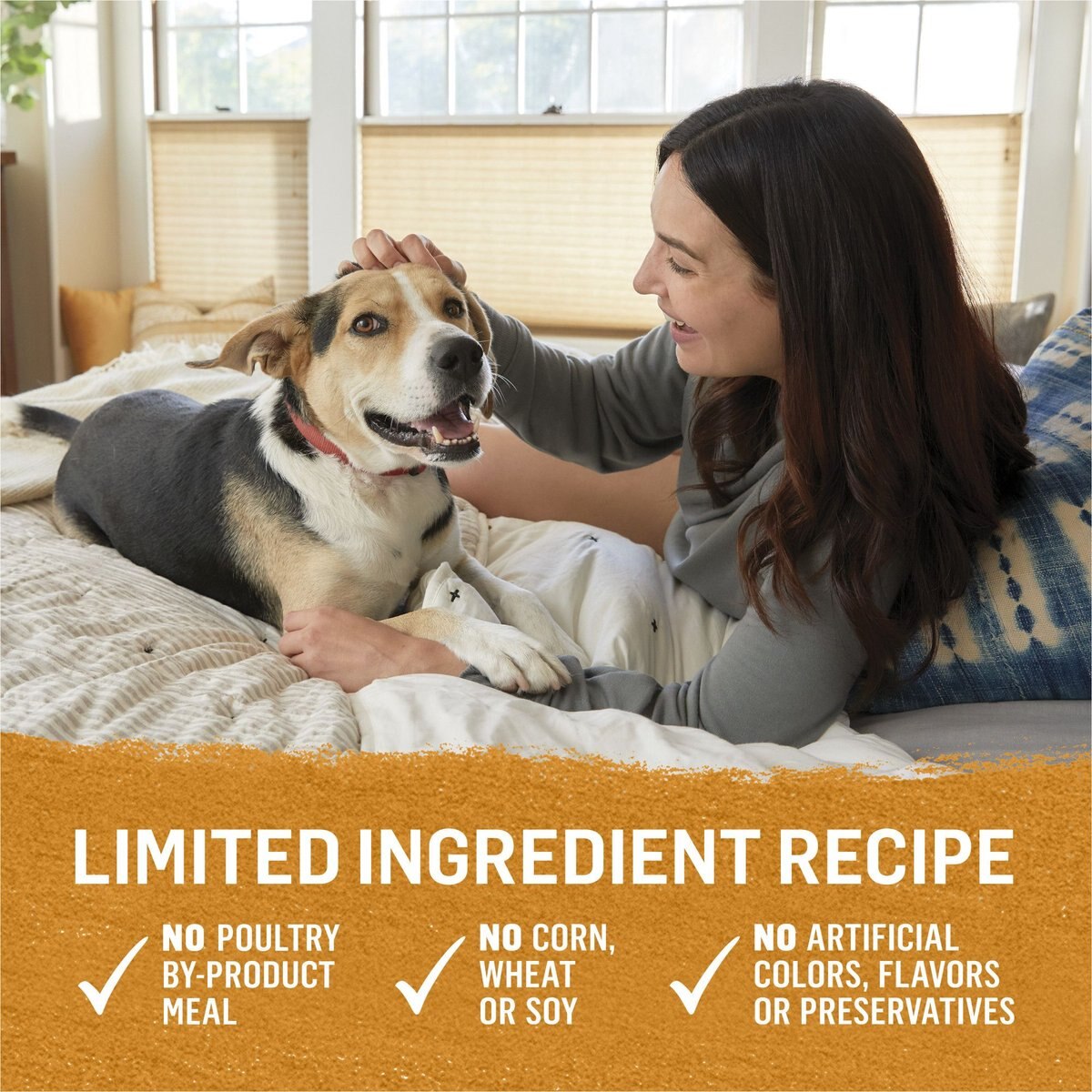 Purina Beyond Chicken and Sweet Potato Recipe in Gravy Canned Dog Food