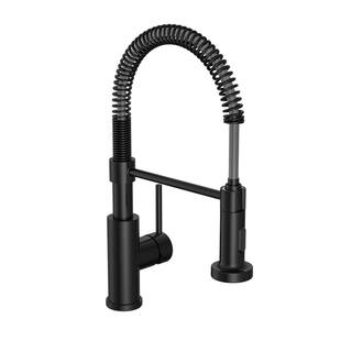 PRIVATE BRAND UNBRANDED Cartway Single-Handle Spring Pull-Down Sprayer Kitchen Faucet in Matte Black D005O