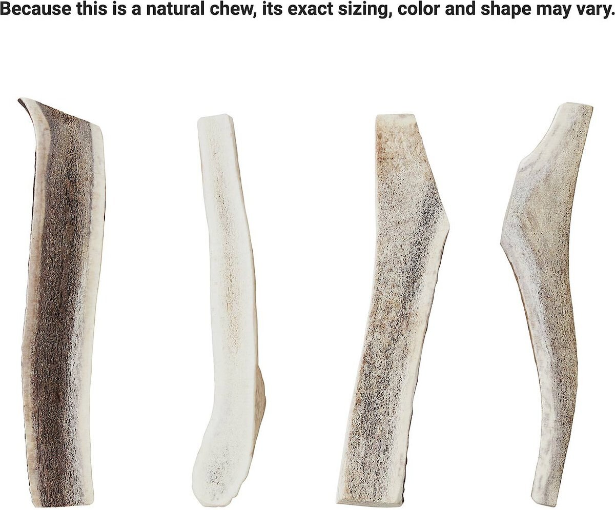 Bones and Chews Made in USA Elk Antler Split Dog Chew， 9.5 - 10.5 in， X-Large