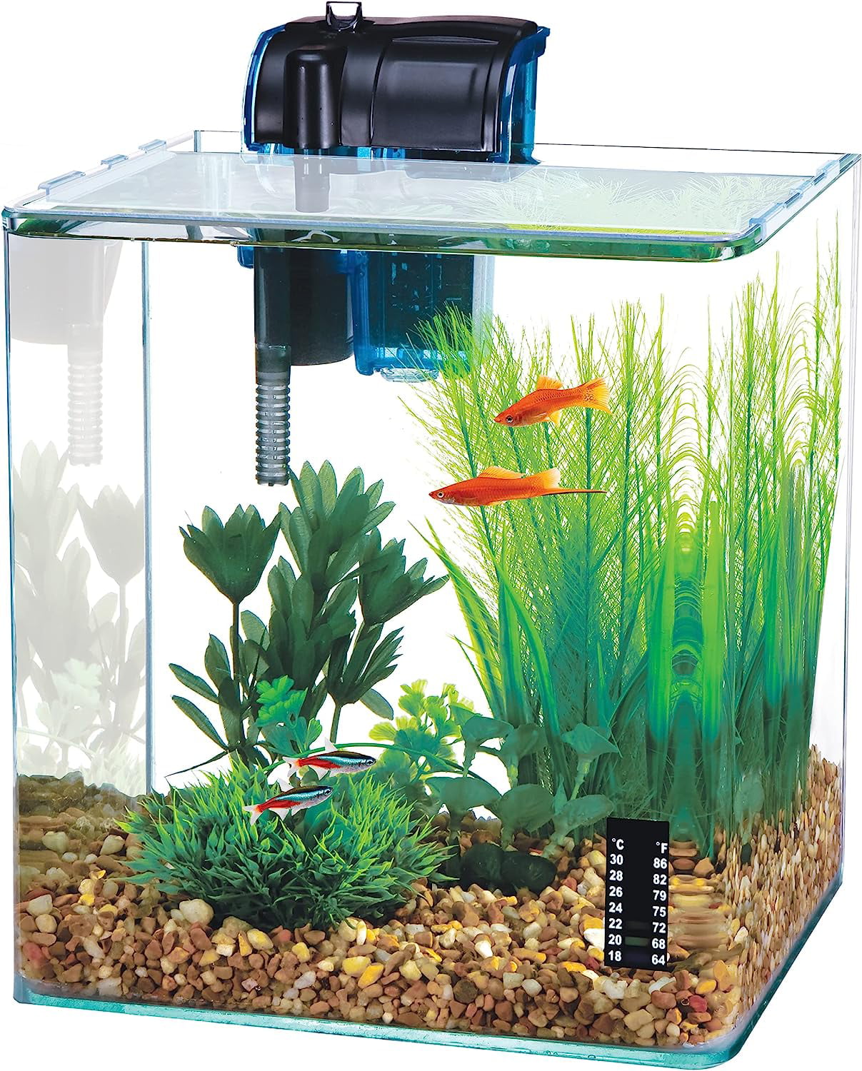 water-world vertex desktop nano aquarium kit – perfect for shrimp and small fish – 2.7 gallon tank