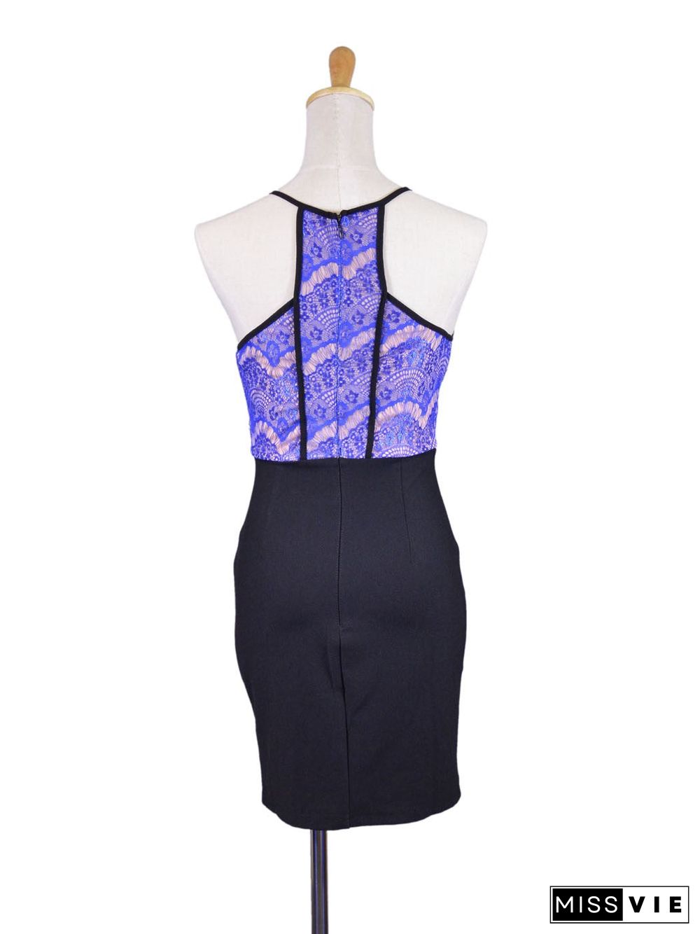 Lush Luxurious Royal Blue Dainty Lace Bodycon Evening Cocktail Party Dress