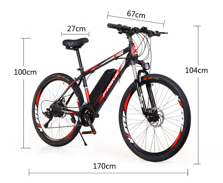 36V 350W 12AH Long Range Electric Bike E Cycle E Bike Fahrrad Electric City Bike