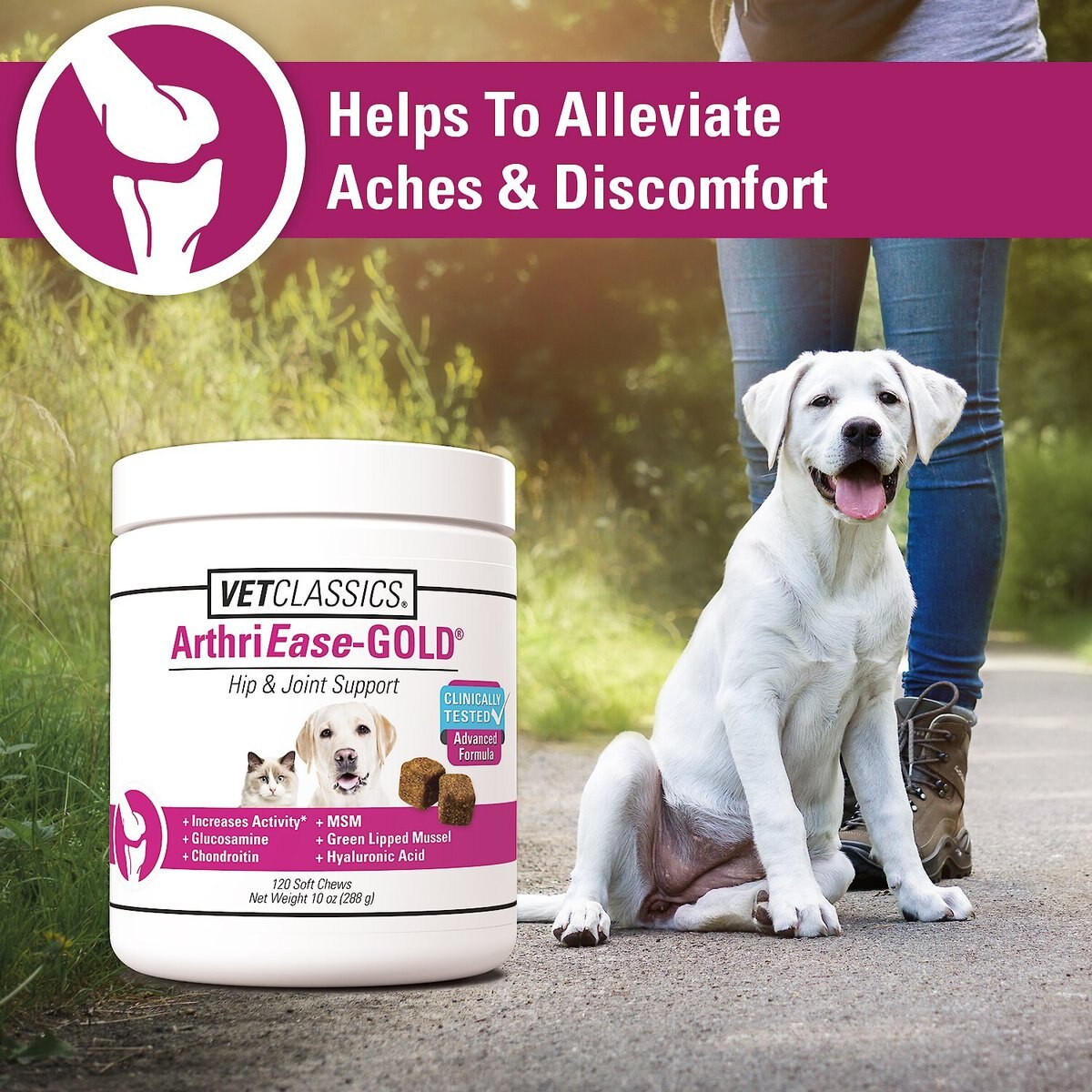 VetClassics ArthriEase GOLD Hip and Joint Support Dog and Cat Supplement， 120 count