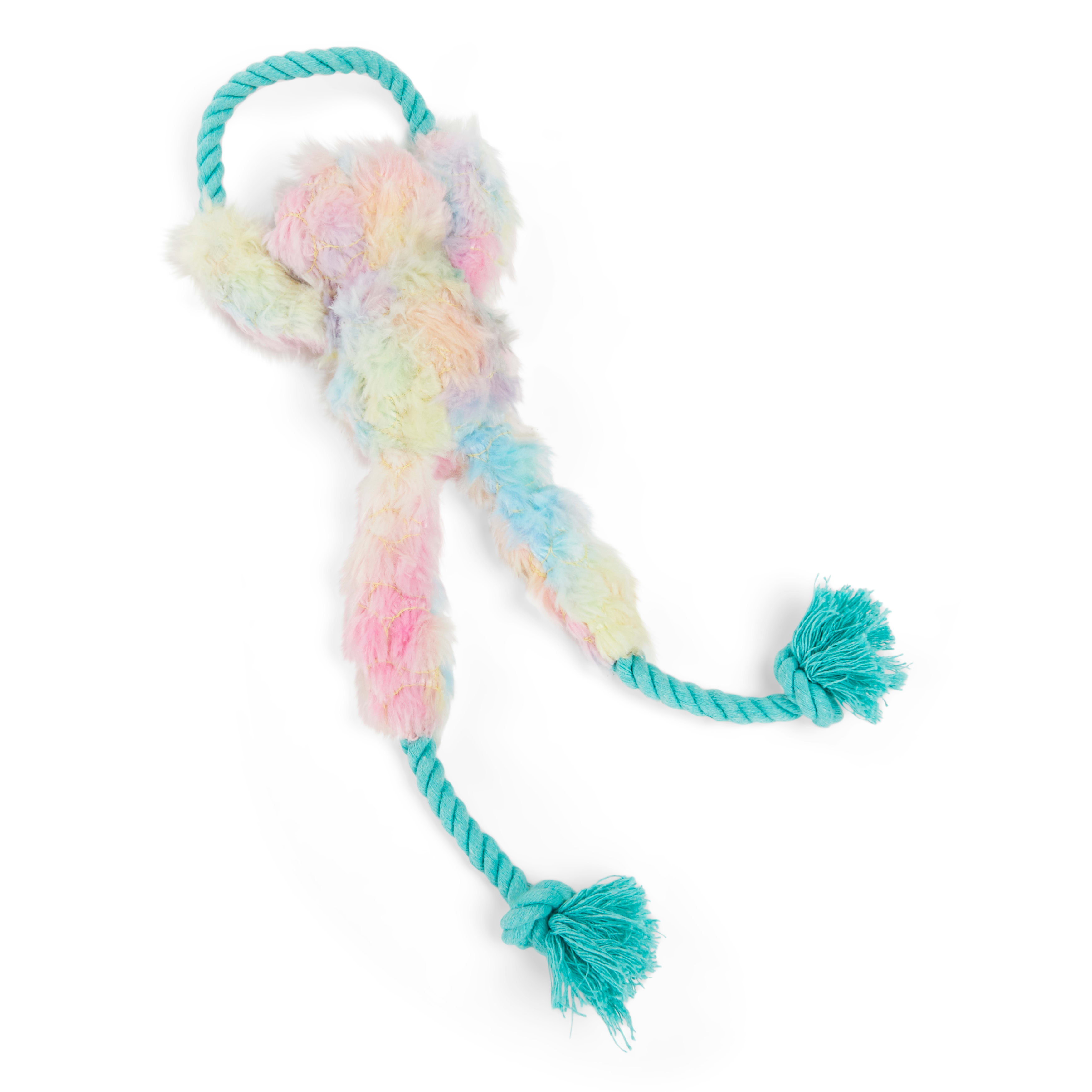 Leaps  Bounds Tough Sloth with Rope Tugs Dog Toy