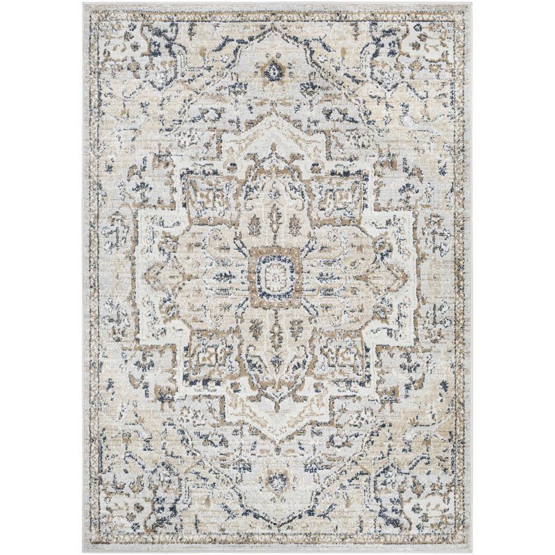 Barlage Traditional Area Rug