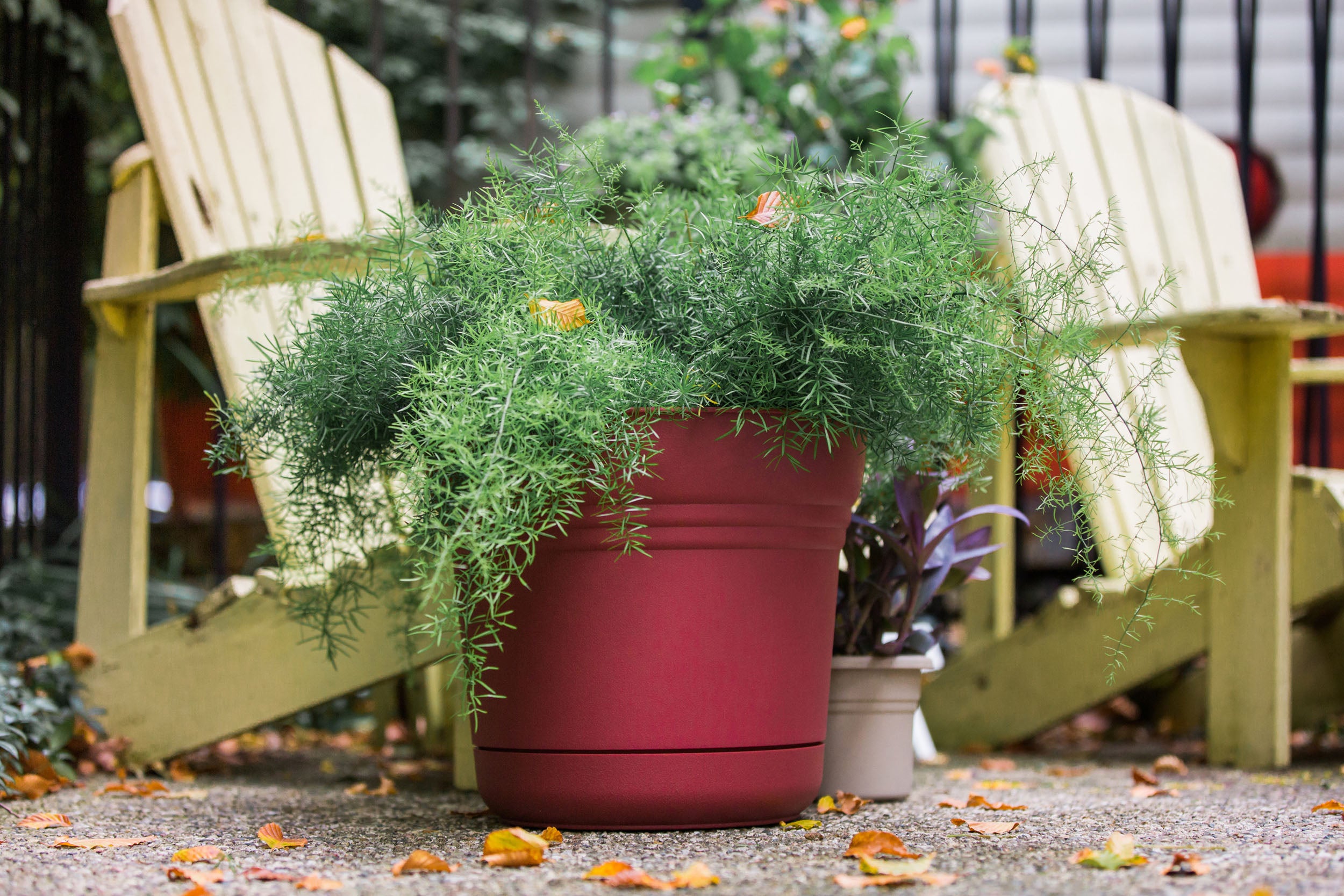 Bloem Saturn Planter W/ Saucer 7.5 x 7 Plastic Round Burnt Red