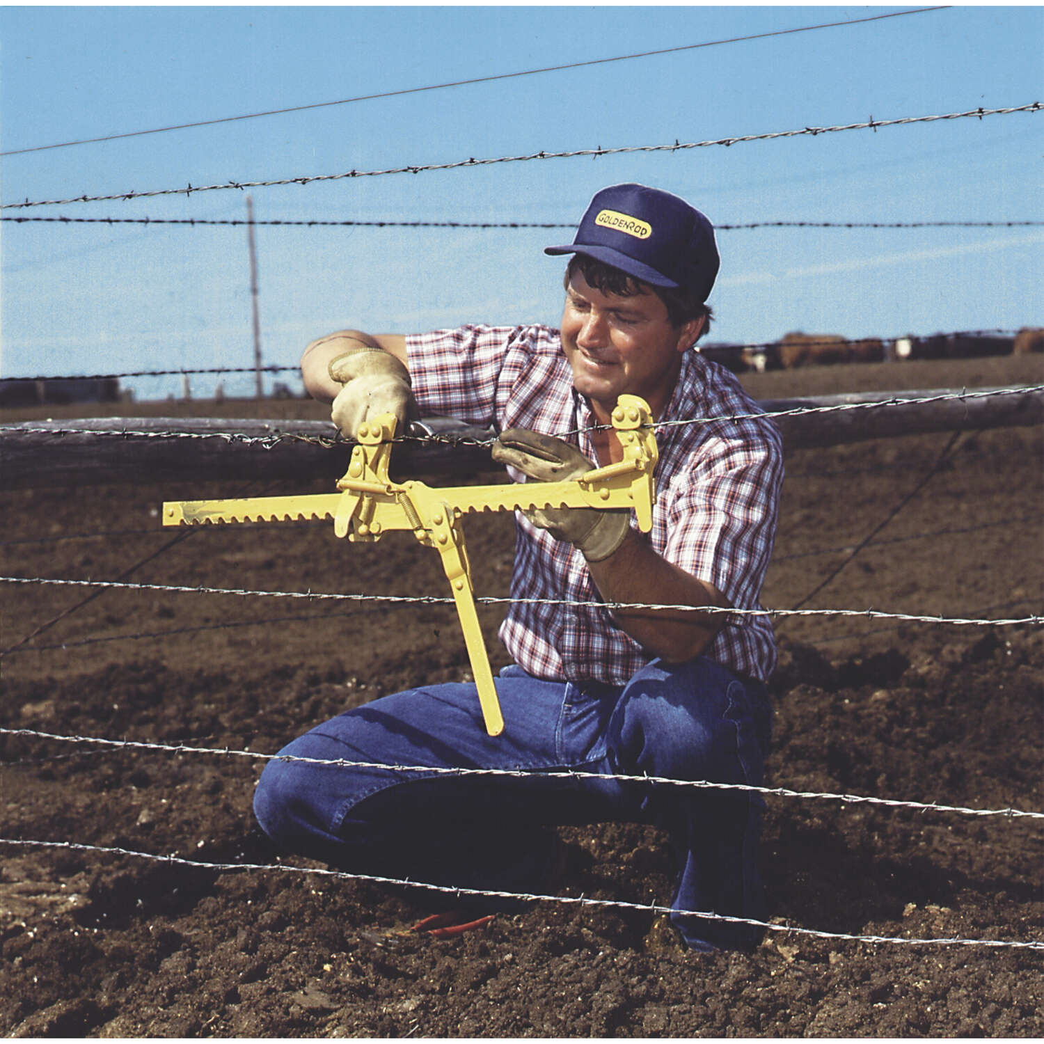 Goldenrod Fence Stretcher Yellow