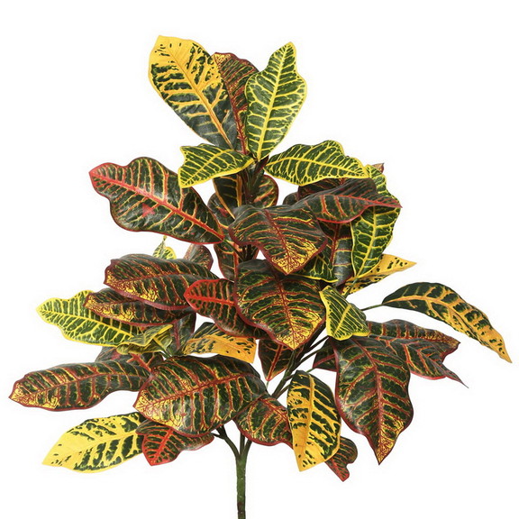 Vickerman FB172601 34 Cronton Plant W/40 Lvs Gree...