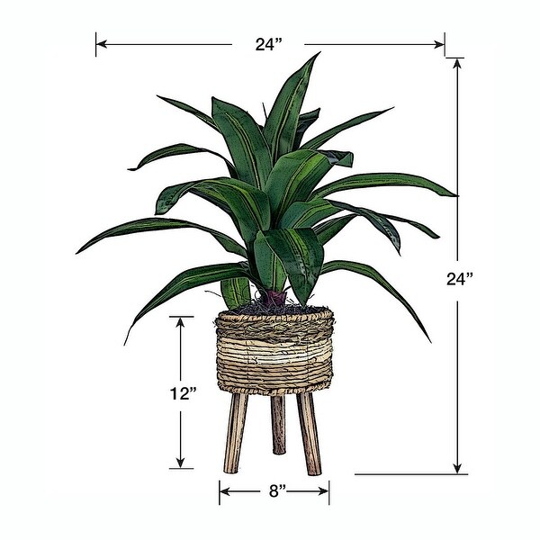 24inch Artificial Dracaena Plant in TriColor Basket Stand