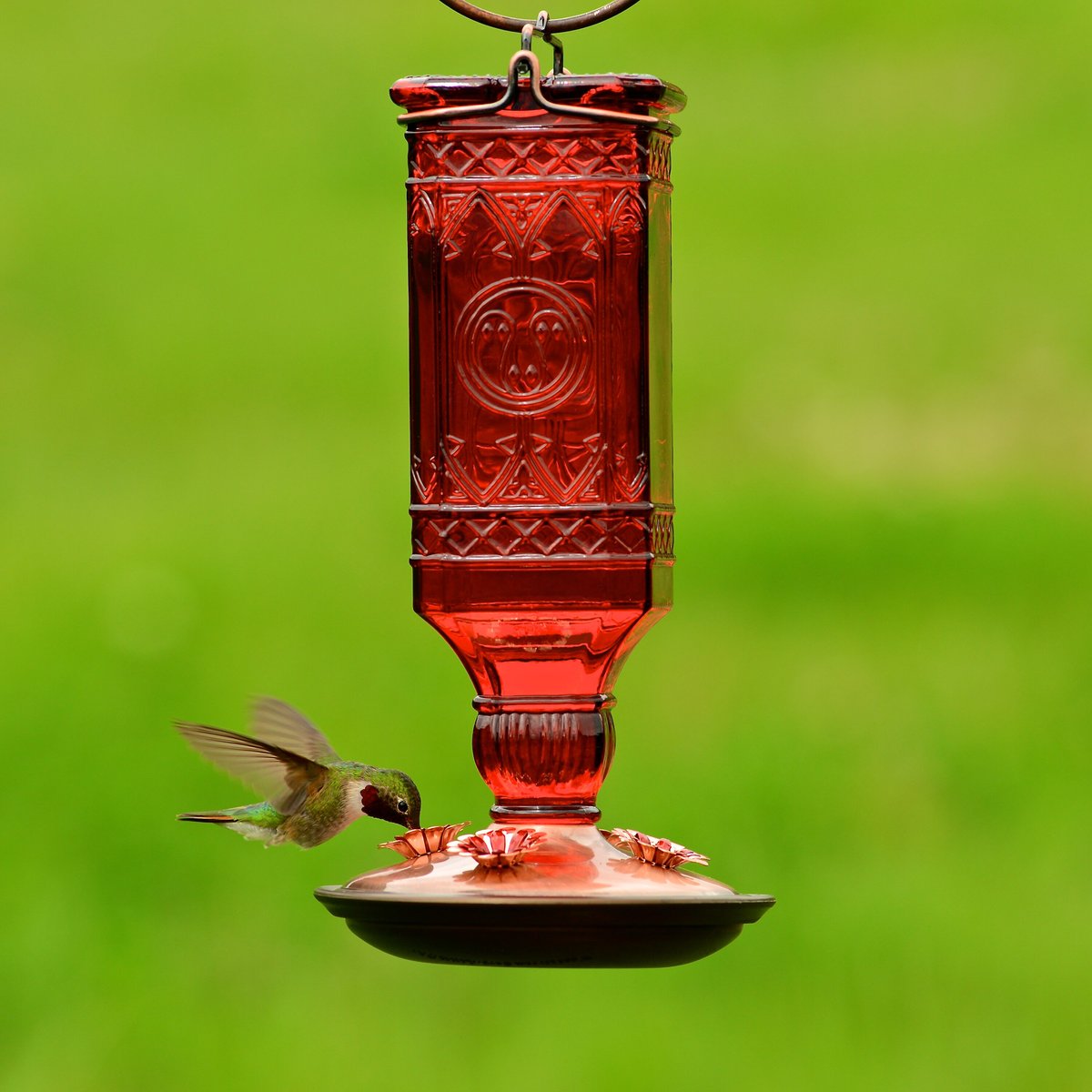 Perky-Pet Square Antique Bottle Glass Hummingbird Feeder