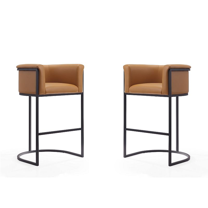 MANHATTAN COMFORT Cosmopolitan Bar Stool 2-piece Set