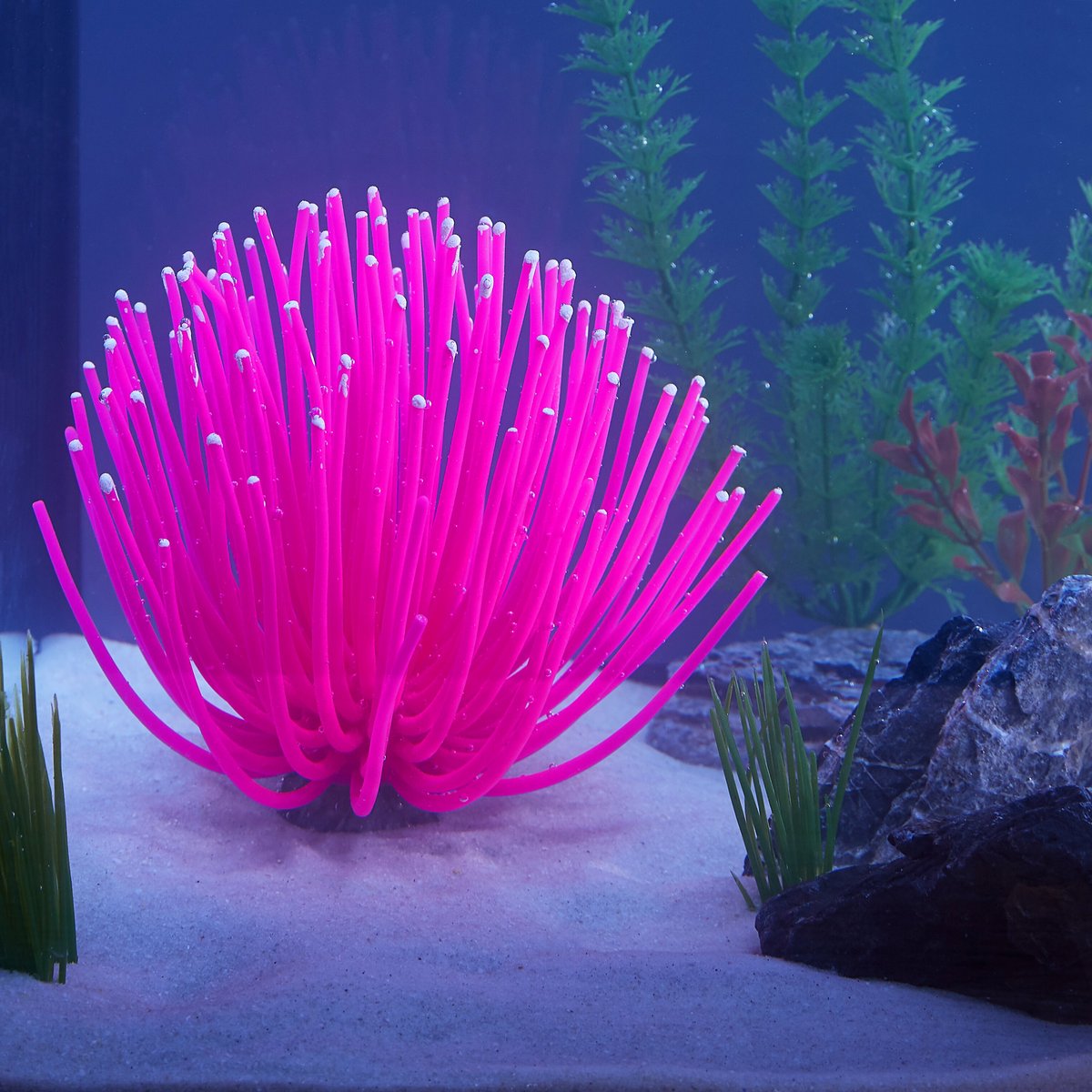 Sporn Artificial Anemone Aquarium Decoration