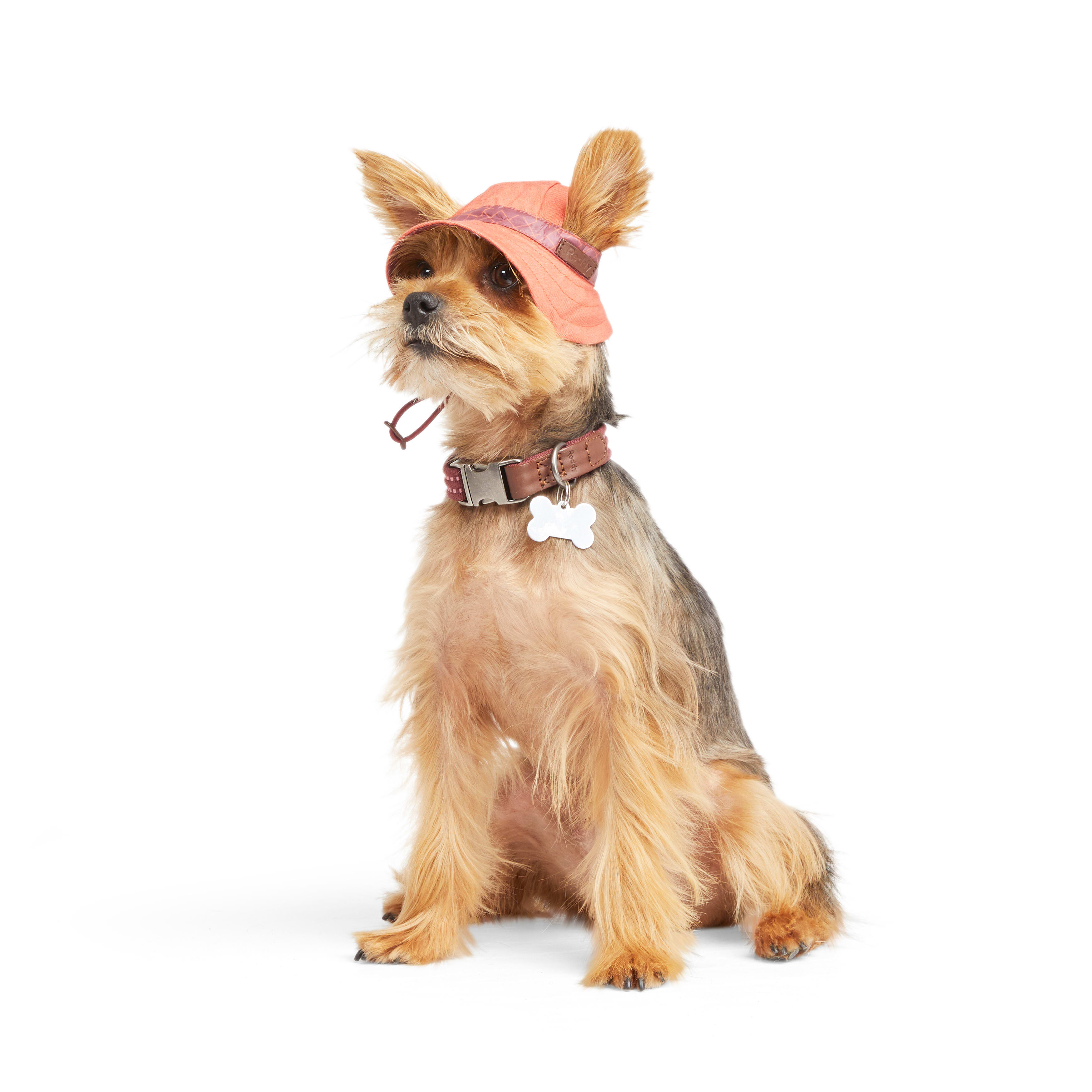 Reddy Orange Bucket Dog Hat， X-Small/Small