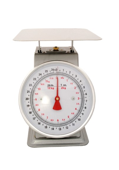 Zenport AZD25 Platform Mechanical Dial Scale  25 P...