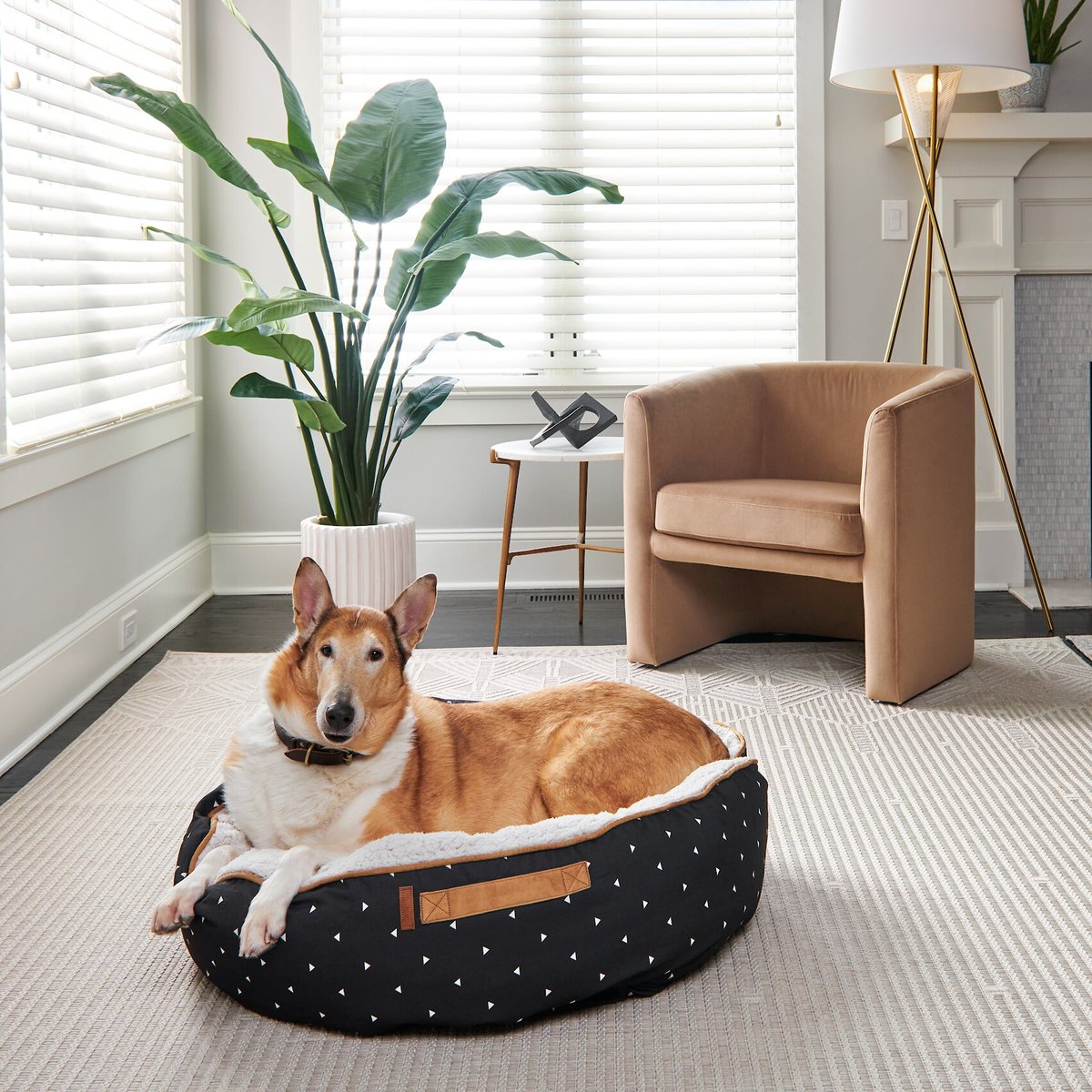 Bark and Slumber Round Cloud Bolster Dog Bed w/ Removable Cover