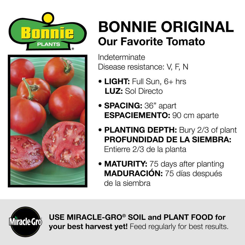 Bonnie Plants 2.32 qt. Bonnie Original Tomato Plant 0202