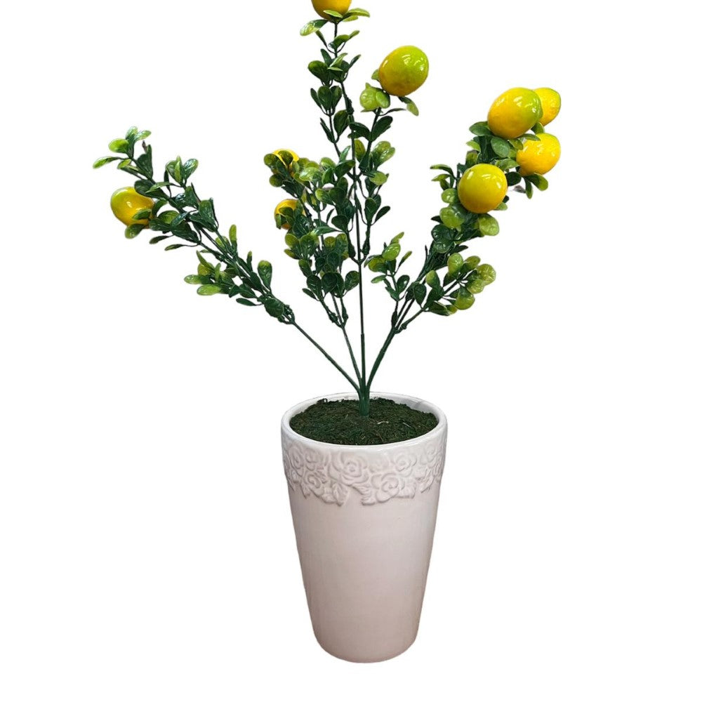 Gorgeous Lemon Bonsai in pot of your choice (Artificial )