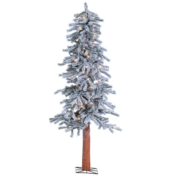 5 Foot Pre Lit Flocked Alpine Tree with 100 clear lights