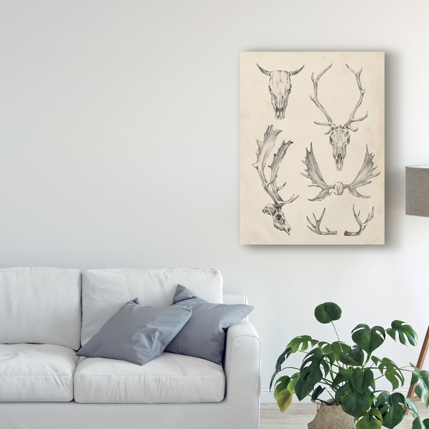 Ethan Harper quot skull And Antler Study Ii x27 Canvas Art Trademark Fine Art