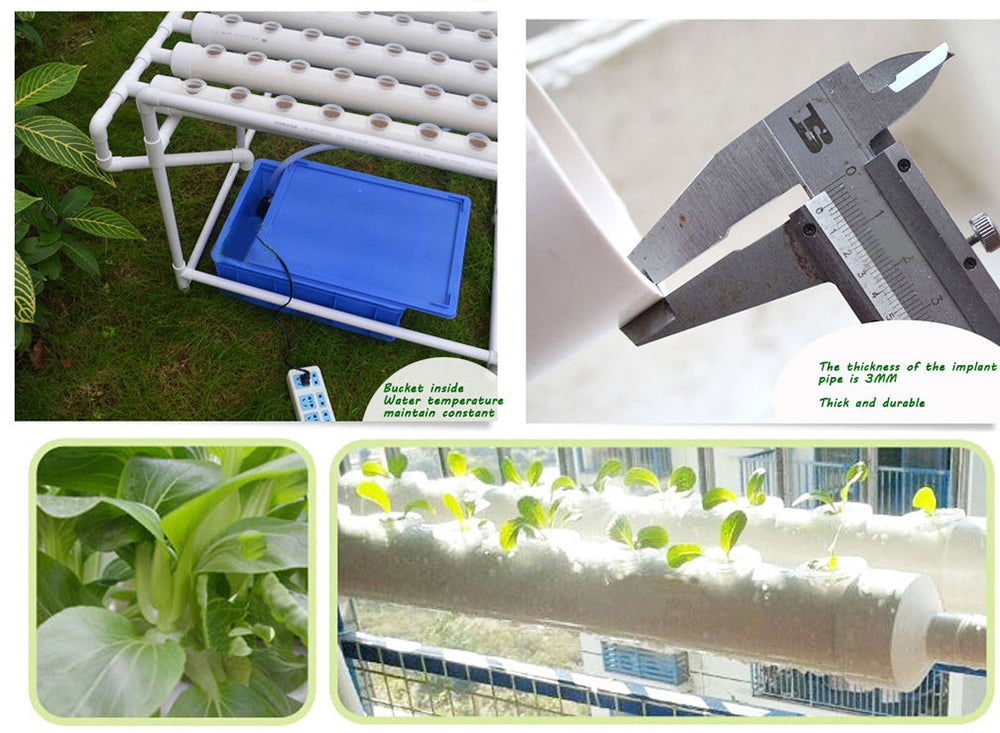 TECHTONGDA 36 Holes Hydroponic Site Grow Kit Garden Plant System Indoor Grow Kit Pipeline Vegetable Planter