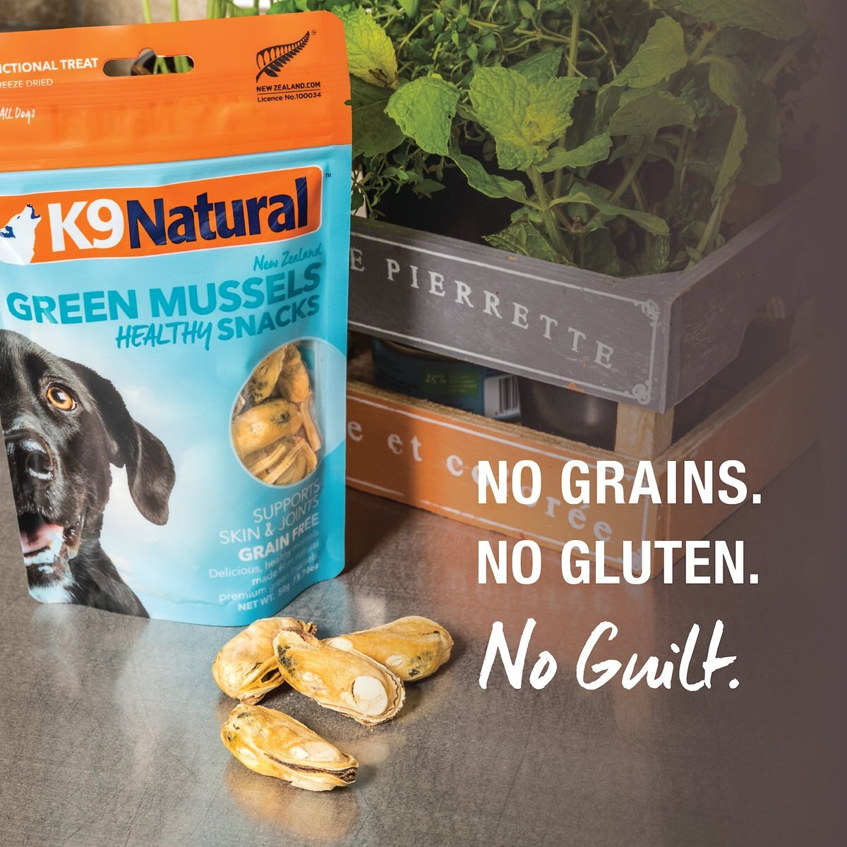 K9 Natural Healthy Snacks Green Mussels Freeze-Dried Dog Treats