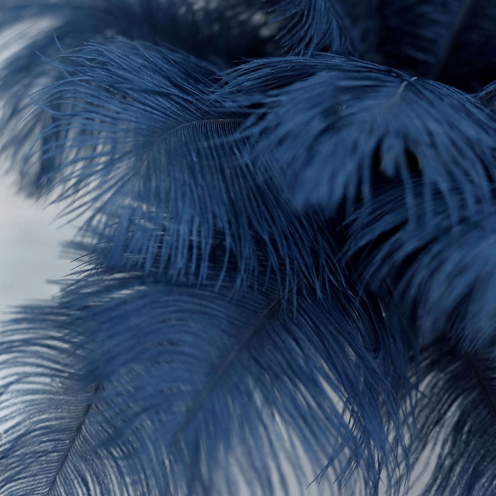 12 Pack Navy Blue Natural Plume Real Ostrich Feathers, DIY Centerpiece Fillers 13