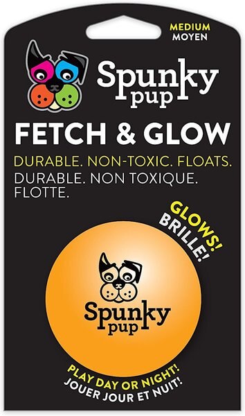 Spunky Pup Fetch and Glow Ball Dog Toy