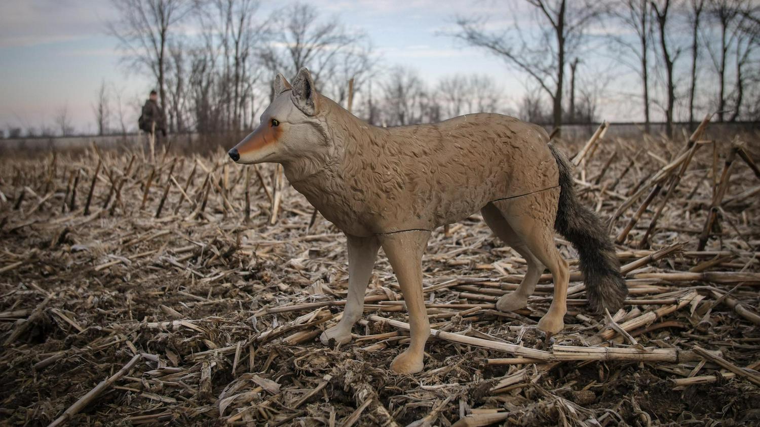 Flambeau Outdoors 5985MS-1 Lone Howler Coyote Decoy