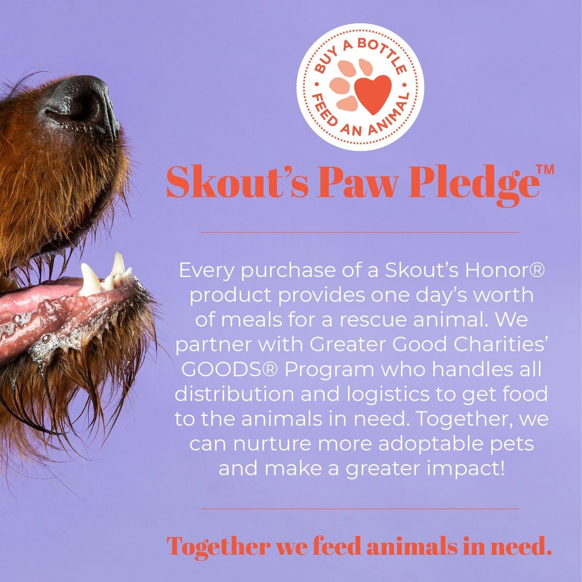 Skout's Honor Probiotic Lavender Pet Shampoo and Conditioner