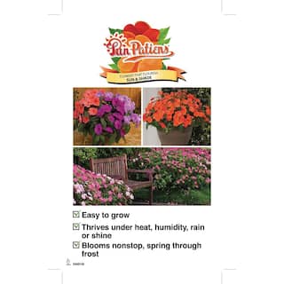 SunPatiens 18-Pack Compact Hot Pink SunPatiens Impatiens Outdoor Annual Plant with Pink Flowers in 2.75 In. Cell Grower's Tray DC18PKSUNPIN