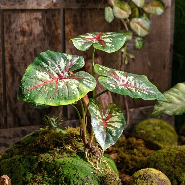 RusticReach Faux Rooted Bunch Alocasia 19 Tall