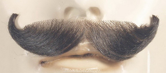 Lacey Wigs LW410 English Mustache   Blend