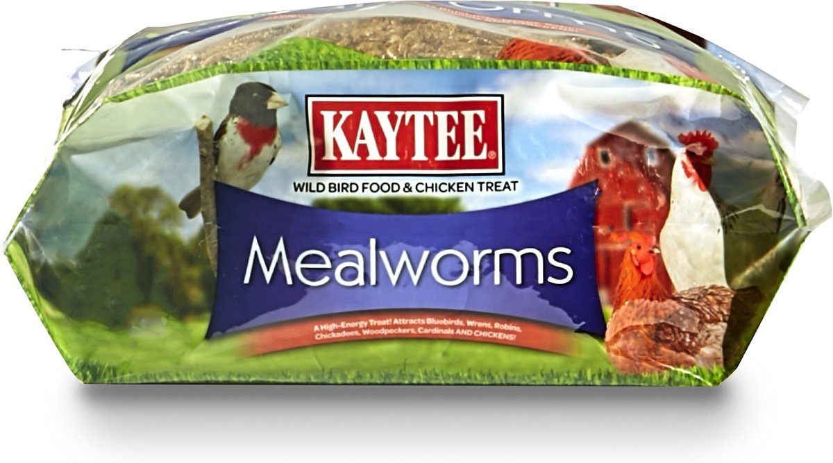 Kaytee Dried Mealworms Wild Bird and Chicken Treat