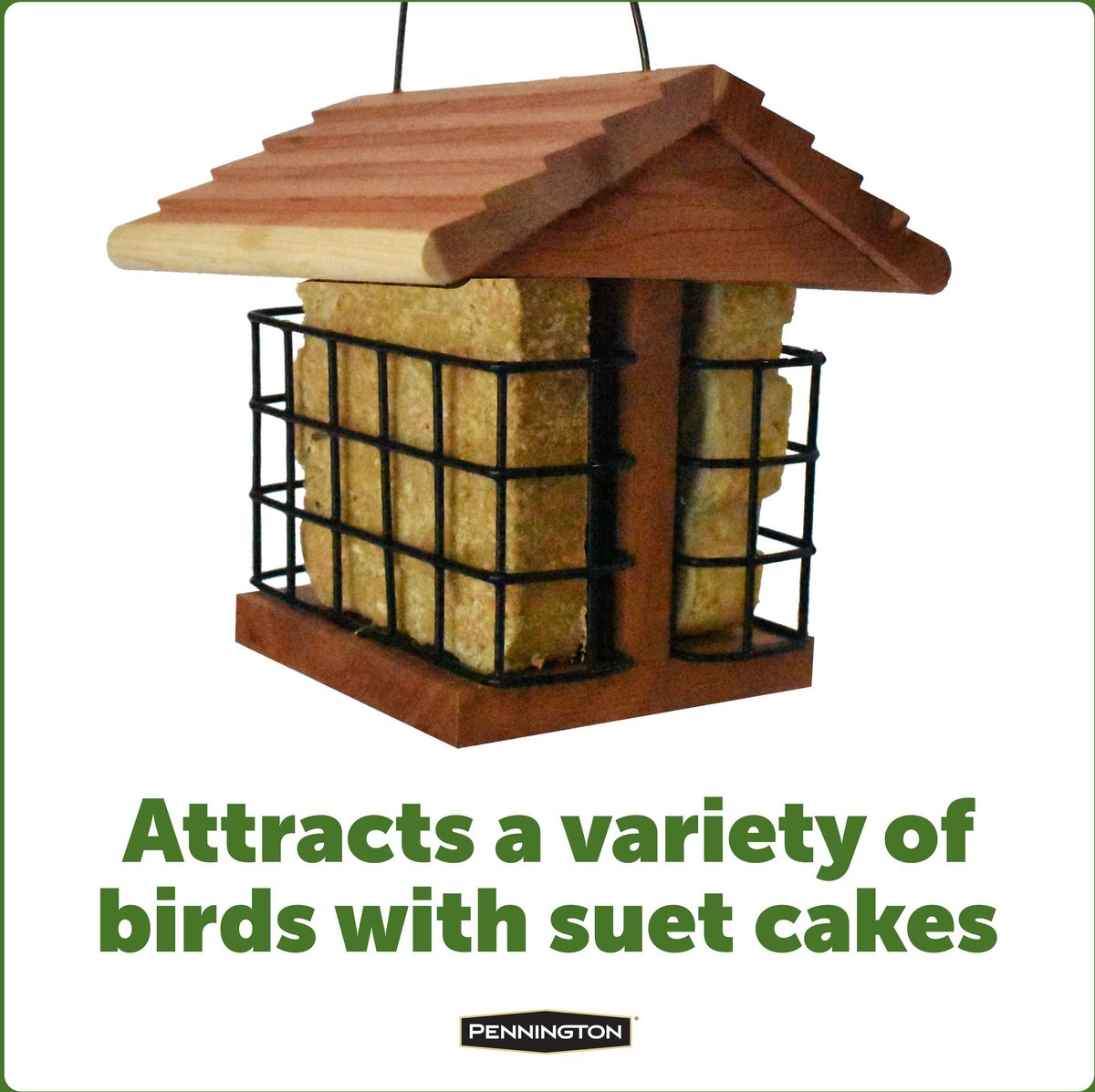 Pennington Cedar Suet Station Bird Feeder